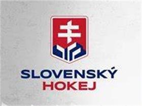 斯洛伐克冰球协会