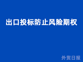 出口投标防止风险期权