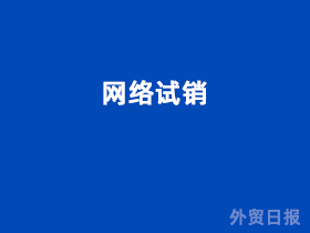 网络试销